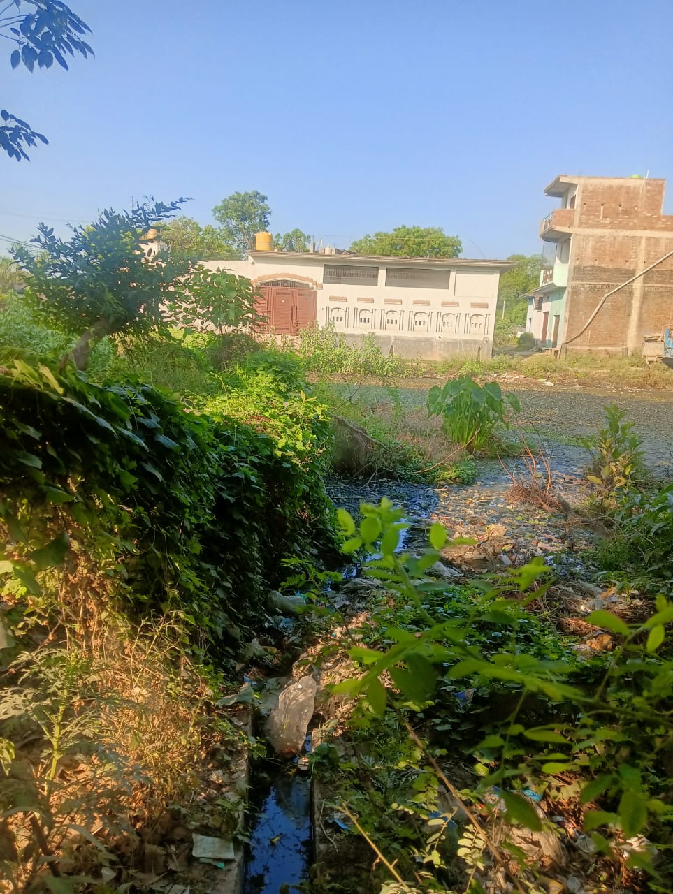तालाब की जमीन का अवैध तरीके से भूमाफियाओं द्वारा किया जा रहा बैनामा :