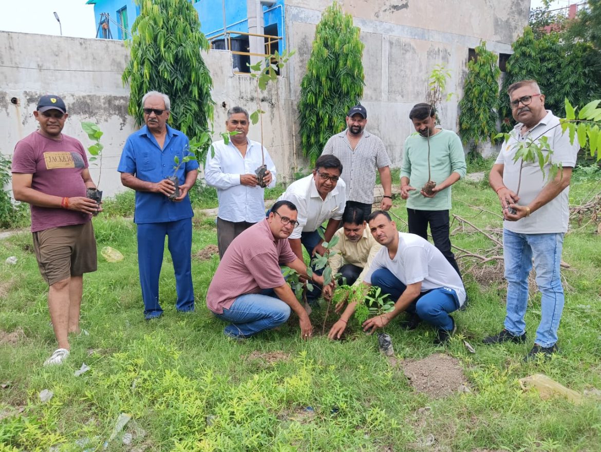 सामुदायिक भवन में वृक्षारोपण किया एवं सभी ने मिलकर संकल्प लिया कि ज्यादा से ज्यादा वृक्षारोपण कर प्रदूषण मुक्त देश बनायेंगे :
