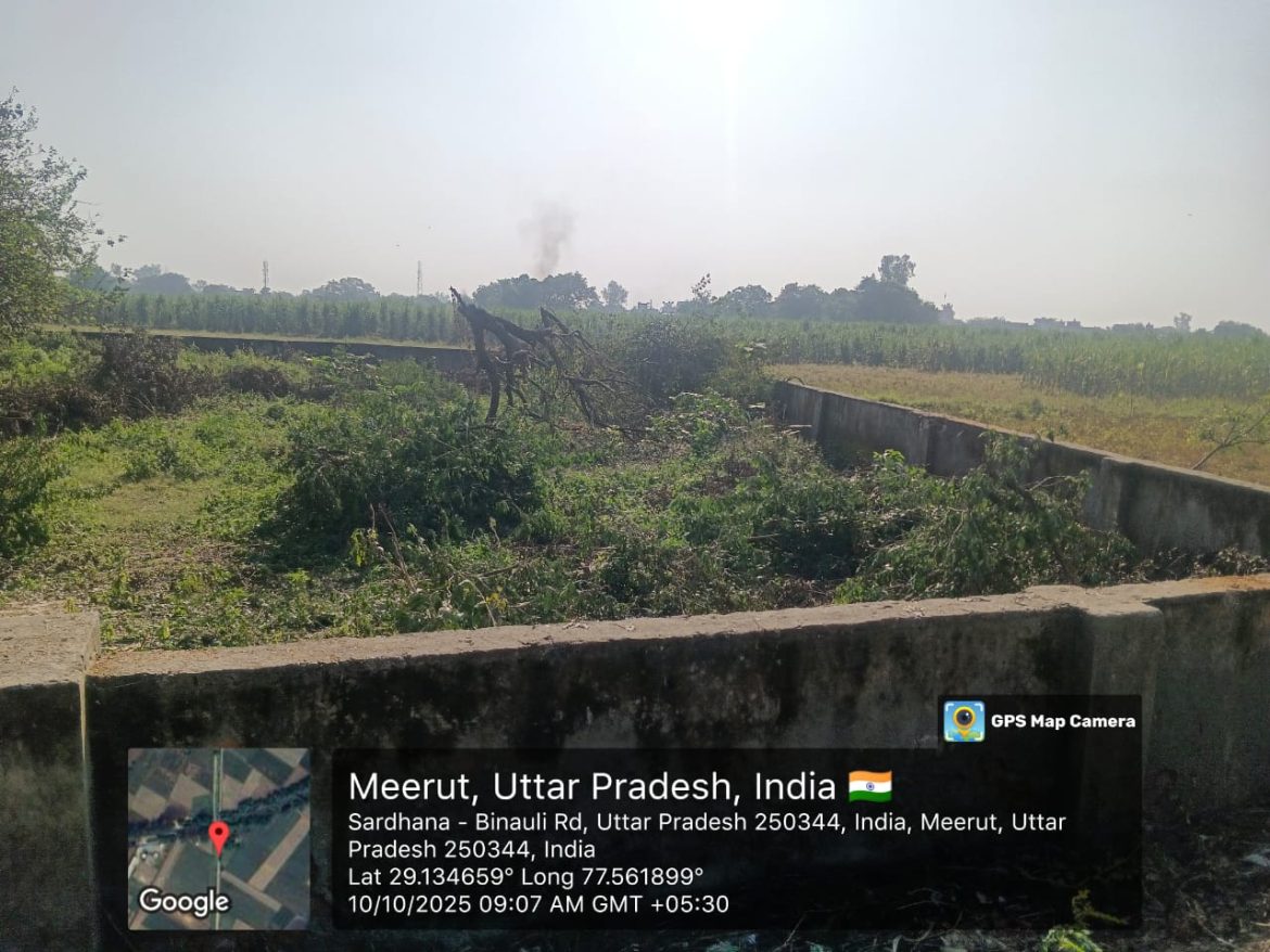 थाना सरूरपुर खुर्द क्षेत्र में काटे जा रहे शीशम और आम के हरे पेड़ वन विभाग मोन :