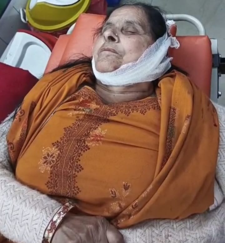 युवक को बचाने के चक्कर में कार ने आगे जा रहे ट्रैक्टर ट्राली में मारी जोरदार टक्कर :