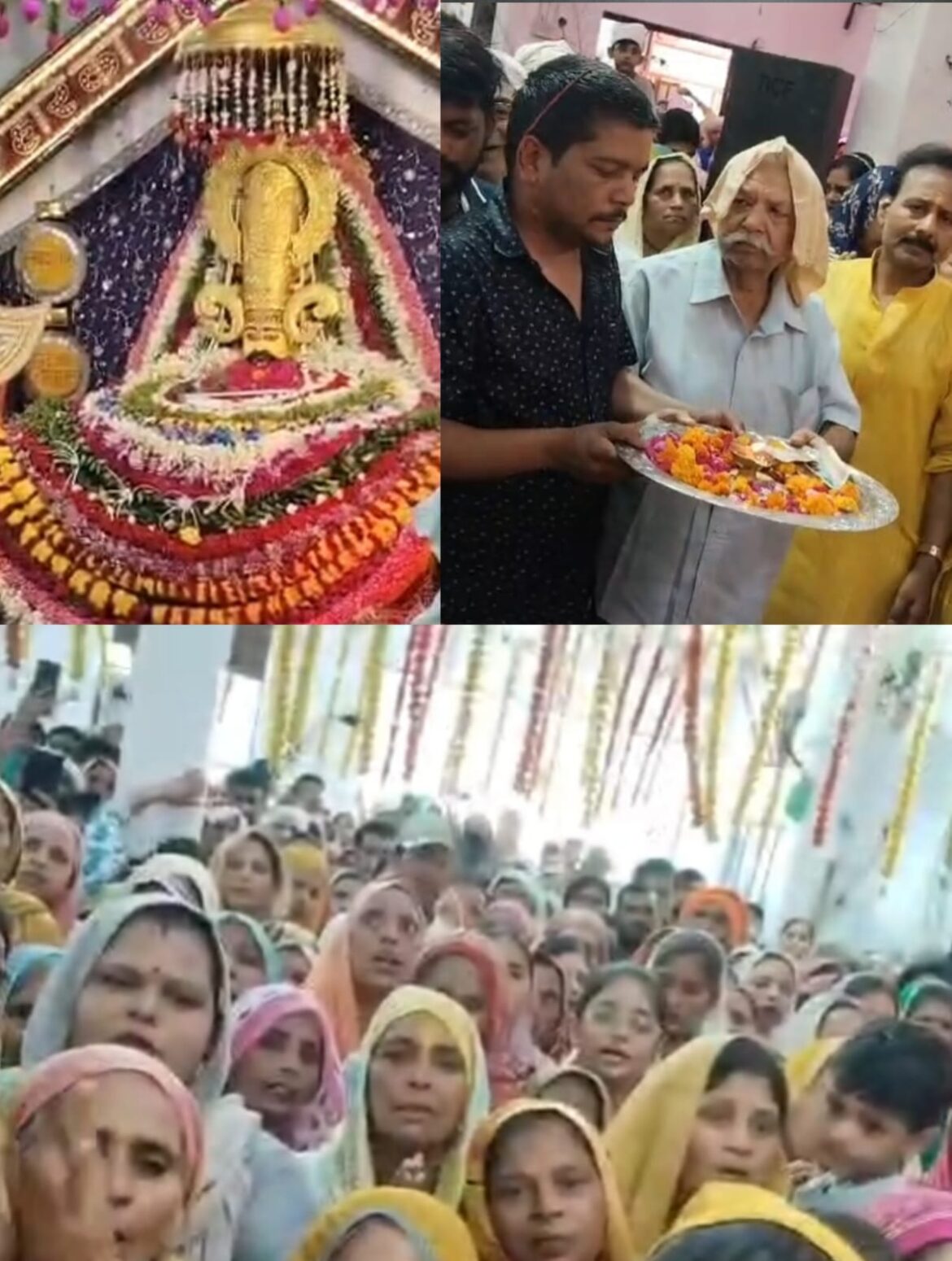 निर्जला एकादशी पर खाटू श्याम मंदिर में उमड़ा श्रद्धा का सैलाब, संकीर्तन और भंडारे का हुआ आयोजन :