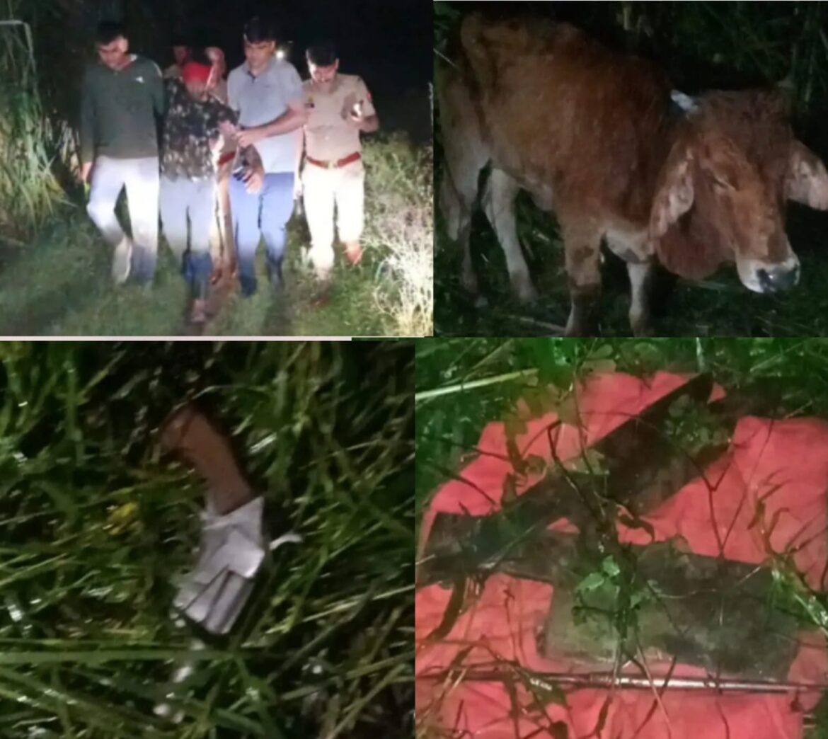 अटौड़ा जंगल में गोकशी की सूचना पर पुलिस की बदमाशों से मुठभेड़ :